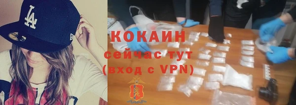 тгк Алзамай