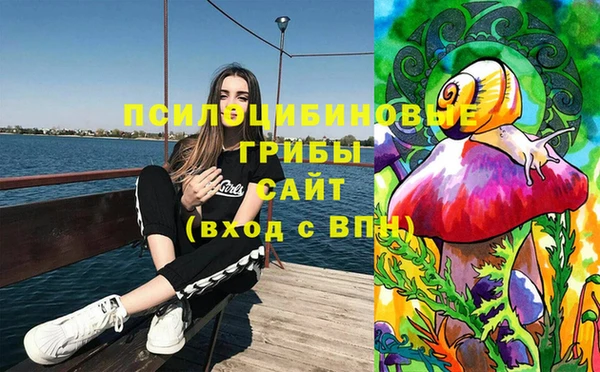 ПСИЛОЦИБИНОВЫЕ ГРИБЫ Покров
