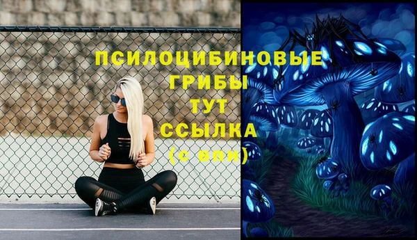 МДМА Алексин