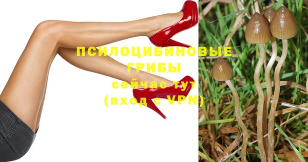 тгк Алзамай