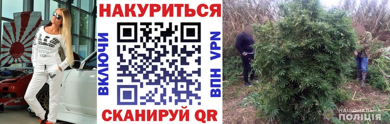 Бошки марихуана гибрид  блэк спрут tor  Бабушкин 